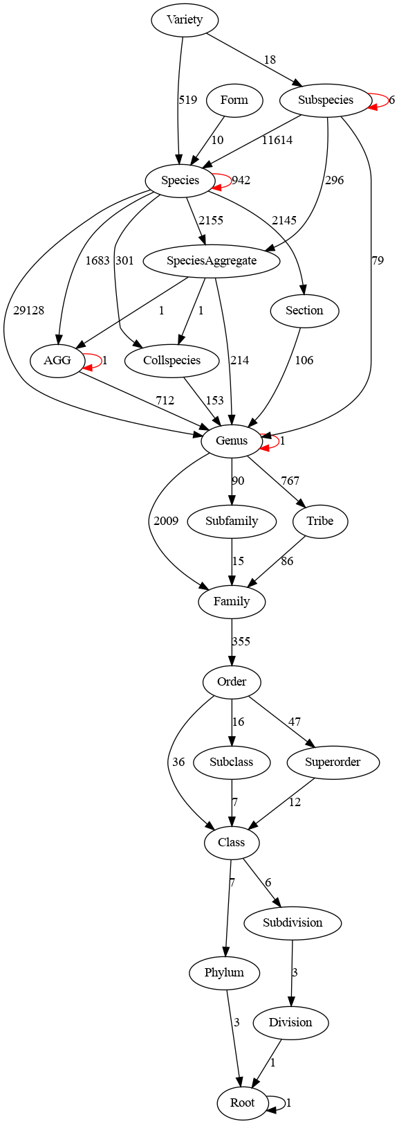 Taxonomic hierarchy